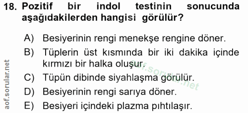 18. soru: Pozitif bir indol testinin sonucunda aşağıdakilerden hangisi görülür? A) Besiyerinin rengi menekşe rengine döner. B)…