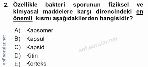 2. soru: Özellikle bakteri sporunun fiziksel ve kimyasal maddelere karşı direncindeki en önemli kısmı aşağıdakilerden hangisid…