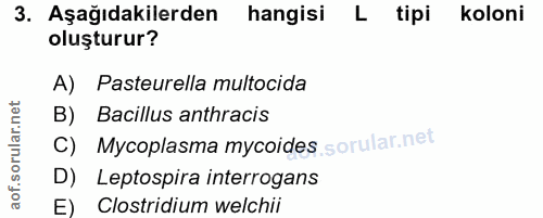 3. soru: Aşağıdakilerden hangisi L tipi koloni oluşturur? A) Pasteurella multocida B) Bacillus anthracis C) Mycoplasma mycoide…