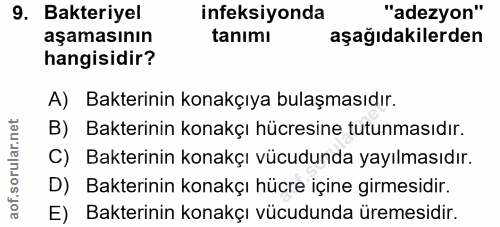 9. soru: Bakteriyel ineksiyonda "adezyon" aşamasının tanımı aşağıdakilerden hangisidir? A) Bakterinin konakçıya bulaşmasıdır.…