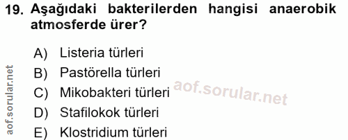 19. soru: Aşağıdaki bakterilerden hangisi anaerobik atmosferde ürer? A) Listeria türleri B) Pastörella türleri c) Mikobakteri t…