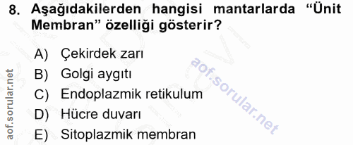 8. soru: Aşağıdakilerden hangisi mantarlarda "Ünit Membran" özelliği gösterir? A) Çekirdek zarı B) Golgi aygitı C) Endoplazmik…