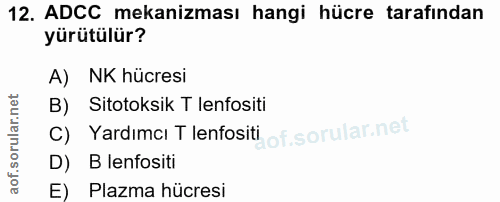 12. soru: ADCC mekanizması hangi hücre tarafından yürütülür? A) NK hücresi B) Sitotoksik T lenfositi C) Yardımcı T lenfositi o…