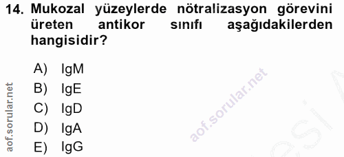 14. soru: Mukozal yüzeylerde nötralizasyon görevini üreten antikor sınıfı aşağıdakilerden hangisidir? A) lgM B)IgE C) IgD D) Ig…