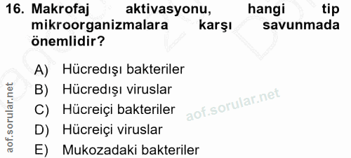 16. soru: Makrofaj aktivasyonu, hangi tip mikroorganizmalara karşı savunmada önemlidir? A) Hücredışı bakteriler B) Hücredışı vi…