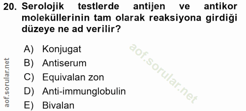 20. soru: Serolojik testlerde antijen ve antikor moleküllerinin tam olarak reaksiyona girdiği düzeye ne ad verilir? A) Konjugat…
