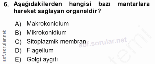 6. soru: Aşağıdakilerden hangisi bazı mantarlara hareket sağlayan organeldir? A) Makrokonidium B) Mikrokonidium C) Sitoplazmik…