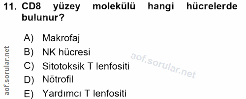 11. soru: CD8 yüzey molekülü hangi hücrelerde bulunur? A) Makrofaj B) NK hücresi C) Sitotoksik T lenfositi D) Nötrofil E) Yardı…