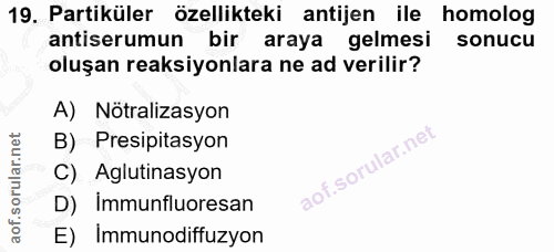 19. soru: Partiküler özellikteki antijen ile homolog antiserumun bir araya gelmesi sonucu oluşan reaksiyonlara ne ad verilir? A…