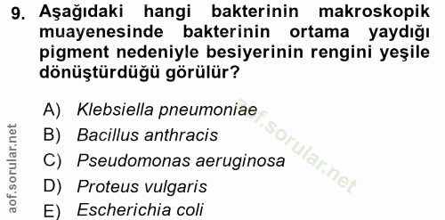 9. soru: Aşağıdaki hangi bakterinin makroskopik muayenesinde bakterinin ortama yaydığı pigment nedeniyle besiyerinin rengini y…