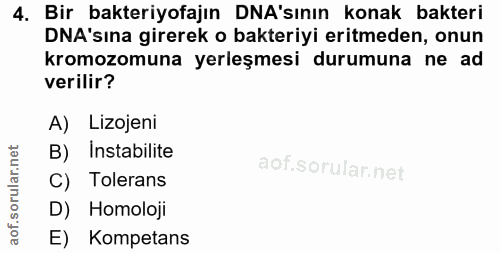 4. soru: Bir bakteriyofajın DNA'sının konak bakteri DNA'sına girerek o bakteriyi eritmeden, onun kromozomuna yerleşmesi durumu…