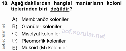 10. soru: Aşağıdakilerden hangisi mantarların koloni tiplerinden biri değildir? A) Membranöz koloniler c) Miselyal koloniler @o…