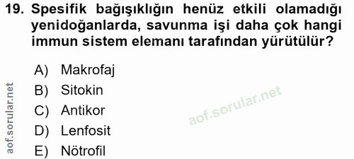 19. soru: Spesifik bağışıklığın henüz etkili olamadığı yenidoğanlarda, savunma işi daha çok hangi immun sistem elemanı tarafınd…