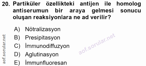 20. soru: Partiküler özellikteki antijen ile homolog antiserumun bir araya gelmesi sonucu oluşan reaksiyonlara ne ad verilir? A…