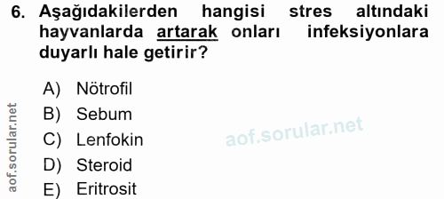 6. soru: Aşağıdakilerden hangisi stres altındaki hayvanlarda artarak onları infeksiyonlara duyarlı hale getirir? A) Nötrofil B…