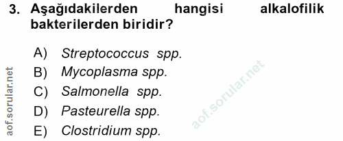 3. soru: Aşağıdakilerden hangisi alkalofilik bakterilerden biridir? A) Streptococcus spp. B) Mycoplasma spp. C) Salmonella spp…