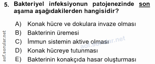 5. soru: Bakteriyel infeksiyonun patojenezinde son aşama aşağıdakilerden hangisidir? A) Konak hücre ve dokulara invaze olması…