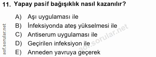 11. soru: Yapay pasif bağışıklık nasıl kazanılır? A) Aşı uygulaması ile B) Ineksiyonda ateş yükselmesi ile C) Antiserum uygulam…