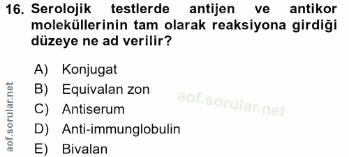 16. soru: Serolojik testlerde antijen ve antikor moleküllerinin tam olarak reaksiyona girdiği düzeye ne ad verilir? A) Konjugat…