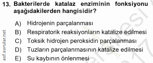 13. soru: Bakterilerde katalaz enziminin fonksiyonu aşağıdakilerden hangisidir? A) Hidrojenin parçalanması B) Respiratorik reak…