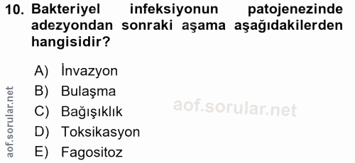 10. soru: Bakteriyel ineksiyonun patojenezinde adezyondan sonraki aşama aşağıdakilerden hangisidir? A) Invazyon B) Bulaşma C) B…