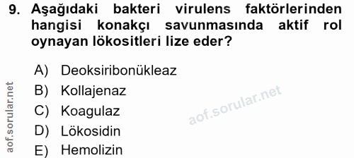 9. soru: Aşağıdaki bakteri virulens faktörlerinden hangisi konakçı savunmasında aktif rol oynayan lökositleri lize eder? A) De…