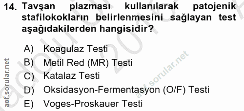14. soru: Tavşan plazması kullanılarak patojenik stafilokokların belirlenmesini sağlayan test aşağıdakilerden hangisidir? A) Ko…