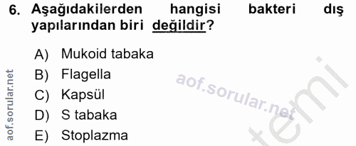 6. soru: Aşağıdakilerden hangisi bakteri dış yapılarından biri değildir? A) Mukoid tabaka B) Flagella C) Kapsül aof.sorular. n…
