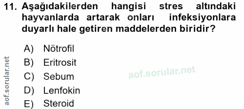 11. soru: Aşağıdakilerden hangisi stres altındaki hayvanlarda artarak onları ineksiyonlara duyarlı hale getiren maddelerden bir…