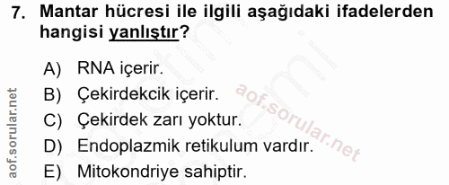 7. soru: Mantar hücresi ile ilgili aşağıdaki ifadelerden hangisi yanlıştır? A) RNA içerir. B) Çekirdekcik içerir. C) Çekırdek…