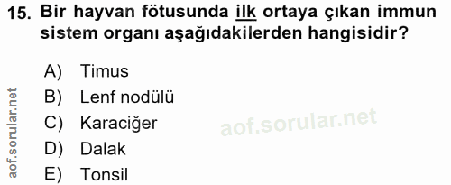 15. soru: Bir hayvan fötusunda ilk ortaya çıkan immun sistem organı aşağıdakilerden hangisidir? A) Timus B) Lenf nodülü C) Kara…
