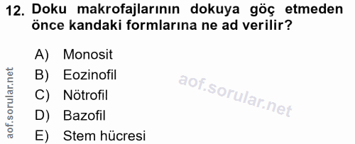 12. soru: Doku makrofajlarının dokuya göç etmeden önce kandaki formlarına ne ad verilir? A) Monosit B) Eozinofil C) Nötrofil D)…