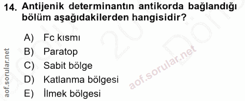 14. soru: Antijenik determinantın antikorda bağlandığı bölüm aşağıdakilerden hangisidir? A) Fc kısmı B) Paratop C) Sabit bölge…