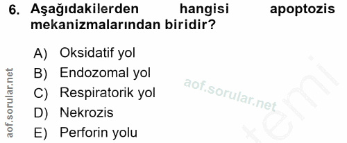 6. soru: Aşağıdakilerden hangisi apoptozis mekanizmalarından biridir? A) Oksidatif yol B) Endozomal yol C) Respiratorik yol D)…