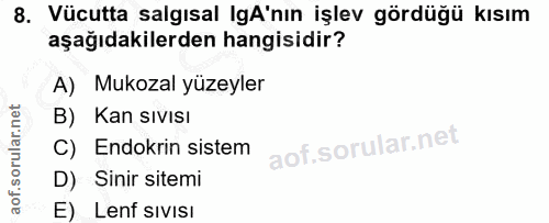 8. soru: Vücutta salgısal gA'nın işlev gördüğü kısım aşağıdakilerden hangisidir? A) Mukozal yüzeyler B) Kan sıvIsı C) Endokrin…