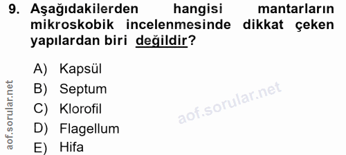 9. soru: Aşağıdakilerden hangisi mantarların mikroskobik incelenmesinde dikkat çeken yapılardan biri değildir? A) Kapsül B) Se…