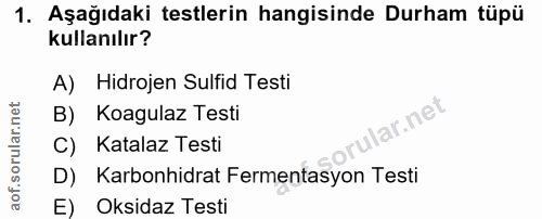1. soru: Aşağıdaki testlerin hangisinde Durham tüpü kullanılır? A) Hidrojen Sulfid Testi B) Koagulaz Testi ar.net C) Katalaz T…