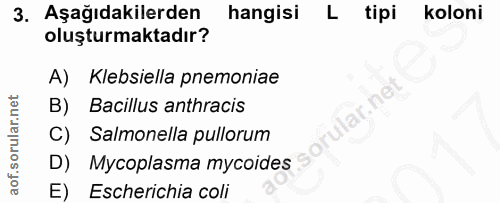 3. soru: Aşağıdakilerden hangisi L tipi koloni oluşturmaktadır? A) Klebsiella pnemoniae B) Bacillus anthracis C) Salmonella pu…