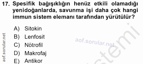 17. soru: Spesifik bağışıklığın henüz etkili olamadığı yenidoğanlarda, savunma işi daha çok hangi immun sistem elemanı tarafınd…