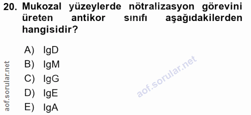 20. soru: Mukozal yüzeylerde nötralizasyon görevini üreten antikor SInifi aşağıdakilerden hangisidir? A) IgD B) IgM C) IgG D) I…