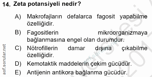 14. soru: Zeta potansiyeli nedir? A) Makrofajların defalarca fagosit yapabilme özelligidir. B) Fagositlerin mikroorganizmaya ba…
