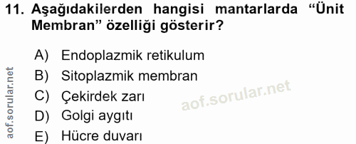 11. soru: Aşağıdakilerden hangisi mantarlarda "Ünit Membran" özelliği gösterir? A) Endoplazmik retikulum B) Sitoplazmik membran…