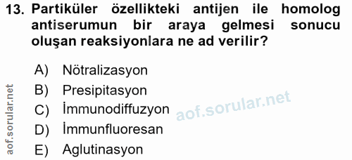 13. soru: Partiküler özellikteki antijen ile homolog antiserumun bir araya gelmesi sonucu oluşan reaksiyonlara ne ad verilir? A…