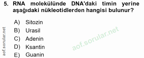 5. soru: RNA molekülünde DNA'daki timin yerine aşağıdaki nükleotidlerden hangisi bulunur? A) Sitozin B) Urasil C) Adenin D) Ka…