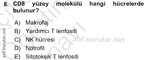 8. soru: CD8 yüzey molekülü hangi hücrelerde bulunur? A) Makrofaj B) Yardımcı T lenfositi C) NK hücresi D) Notrofil E) Sitotok…