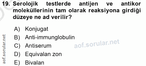 19. soru: Serolojik testlerde antijen ve antikor moleküllerinin tam olarak reaksiyona girdiği düzeye ne ad verilir? A) Konjugat…