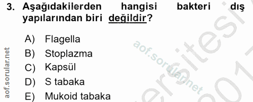 3. soru: Aşağıdakilerden hangisi bakteri dış yapılarından biri değildir? A) Flagella Stoplazma aof.sordaynet, C) Kapsül D) S t…