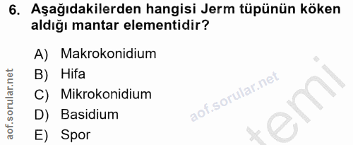 6. soru: Aşağıdakilerden hangisi Jerm tüpünün köken aldığı mantar elementidir? A) Makrokonidium B) Hifa C) Mikrokonidium em D)…
