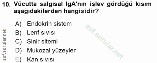 10. soru: Vücutta salgısal gA'nın işlev gördüğü kısım aşağıdakilerden hangisidir? A) Endokrin sistem B) Lenf sivisı C) Sinir si…