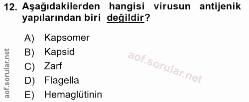 12. soru: Aşağıdakilerden hangisi virusun antijenik yapılarından biri değildir? A) Kapsomer B) Kapsid C) Zarf D) Flagella E) He…